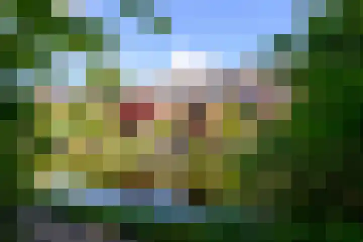 Vuurdoorn 41 Naaldwijk thumbnail 33