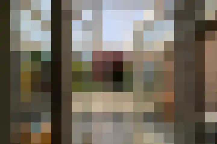 Vuurdoorn 41 Naaldwijk thumbnail 9