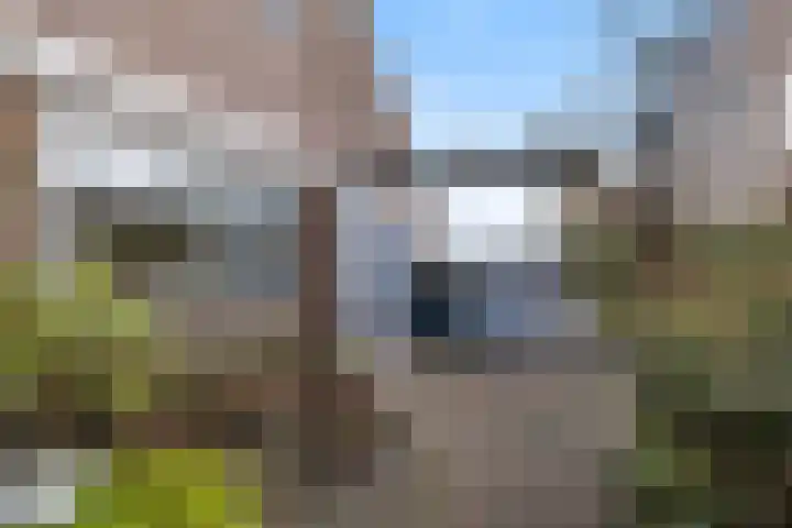 Vuurdoorn 43 Hellevoetsluis thumbnail 10