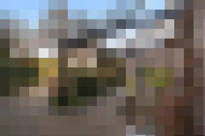 Vuurdoorn 43 Hellevoetsluis thumbnail 11