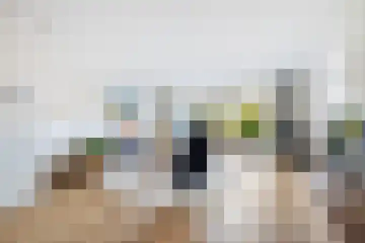 Vuurdoorn 43 Hellevoetsluis thumbnail 24