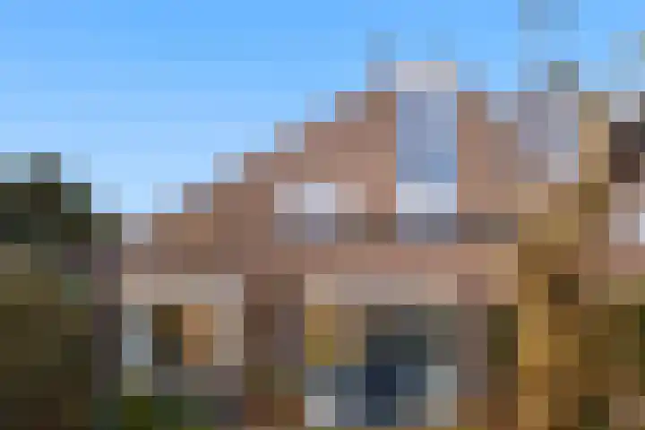 Vuurdoorn 43 Hellevoetsluis thumbnail 31