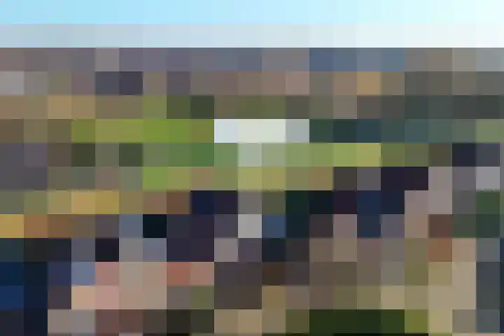 Vuurdoorn 43 Hellevoetsluis thumbnail 6