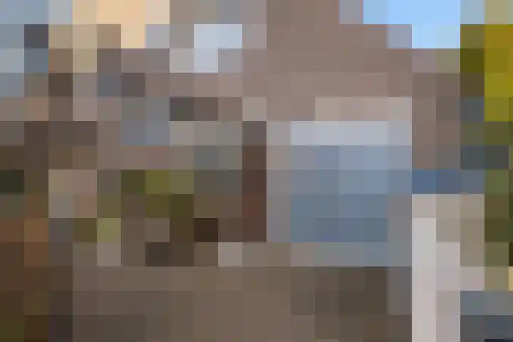 Vuurdoorn 43 Hellevoetsluis thumbnail 9