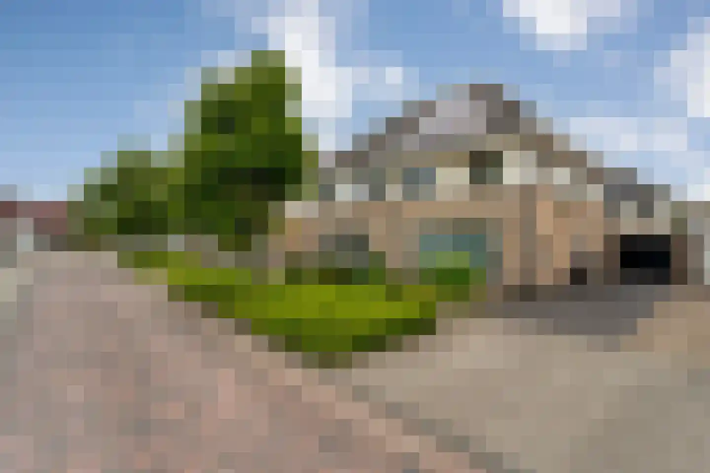 Vuurdoorn 5 Coevorden foto 2