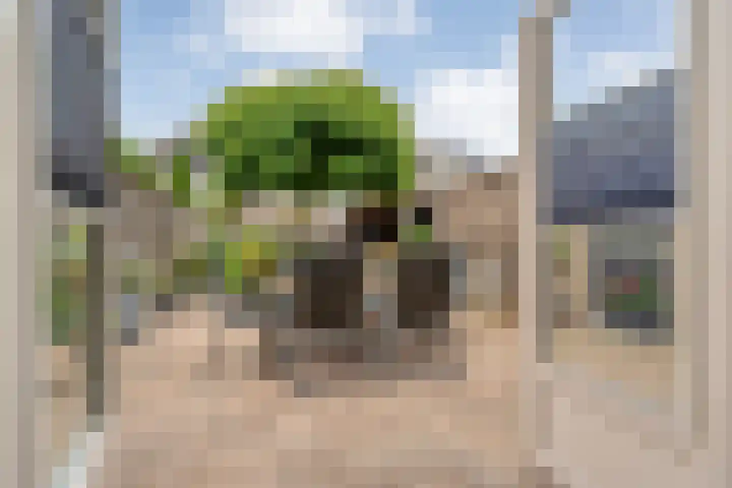 Vuurdoorn 5 Coevorden thumbnail 41