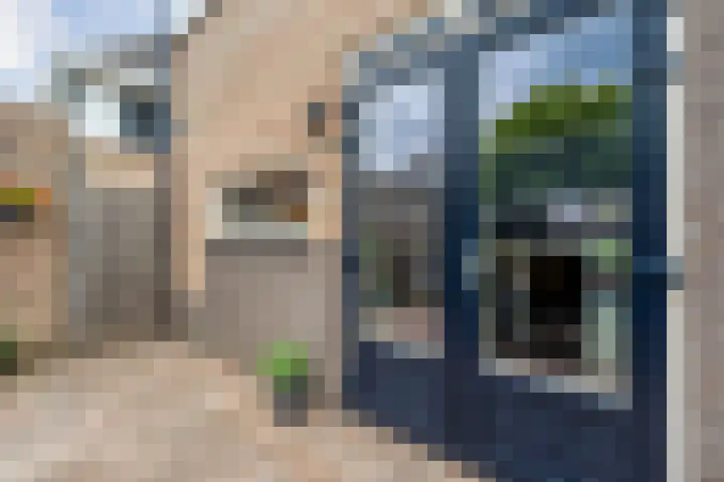 Vuurdoorn 5 Coevorden thumbnail 42