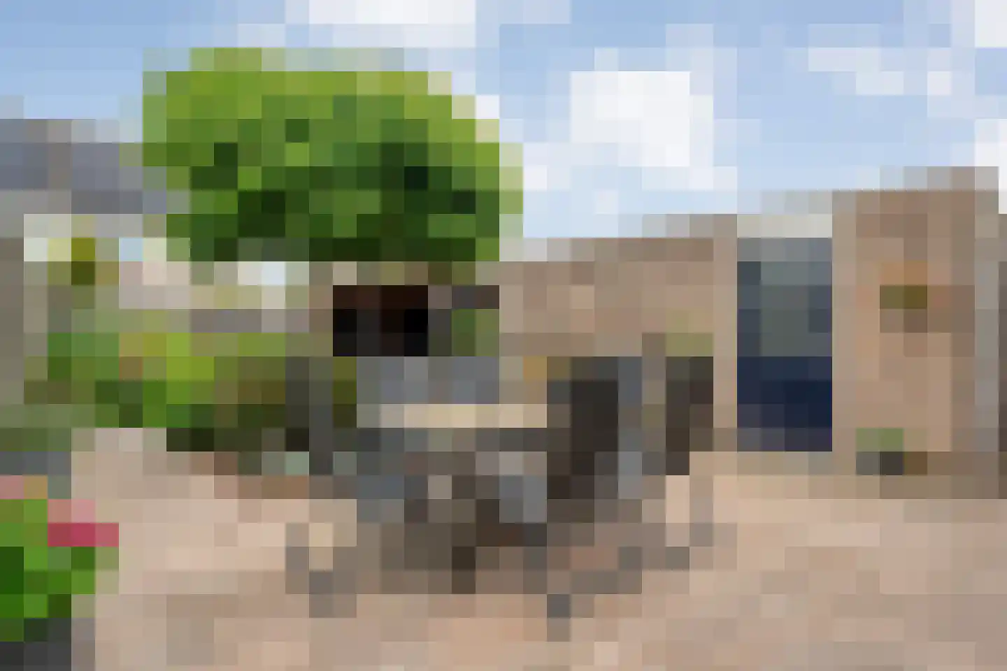 Vuurdoorn 5 Coevorden thumbnail 43