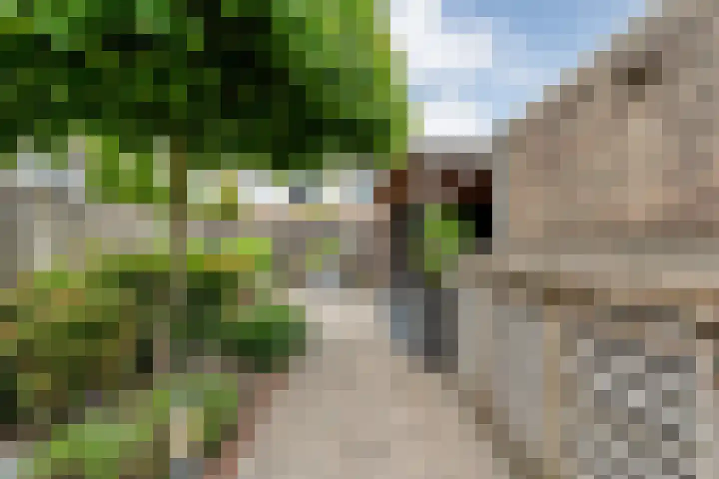Vuurdoorn 5 Coevorden thumbnail 44