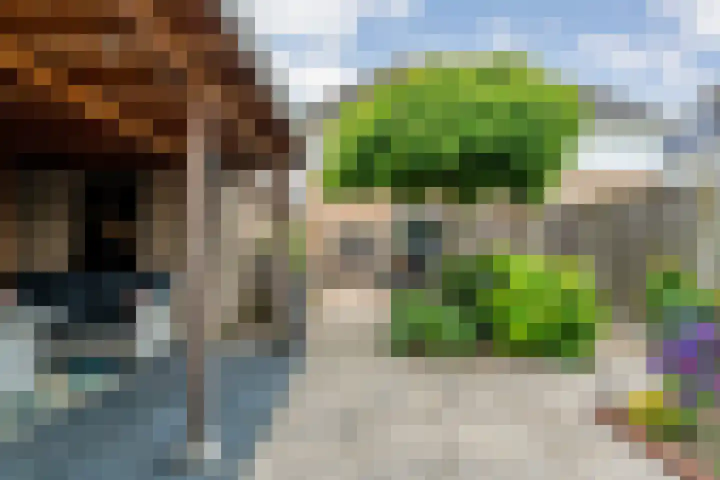Vuurdoorn 5 Coevorden thumbnail 47