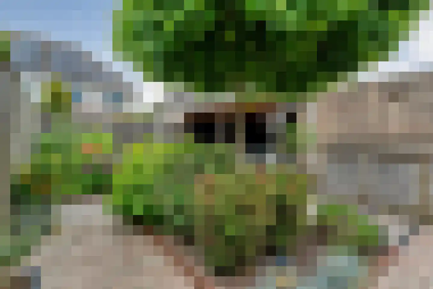 Vuurdoorn 5 Coevorden thumbnail 51