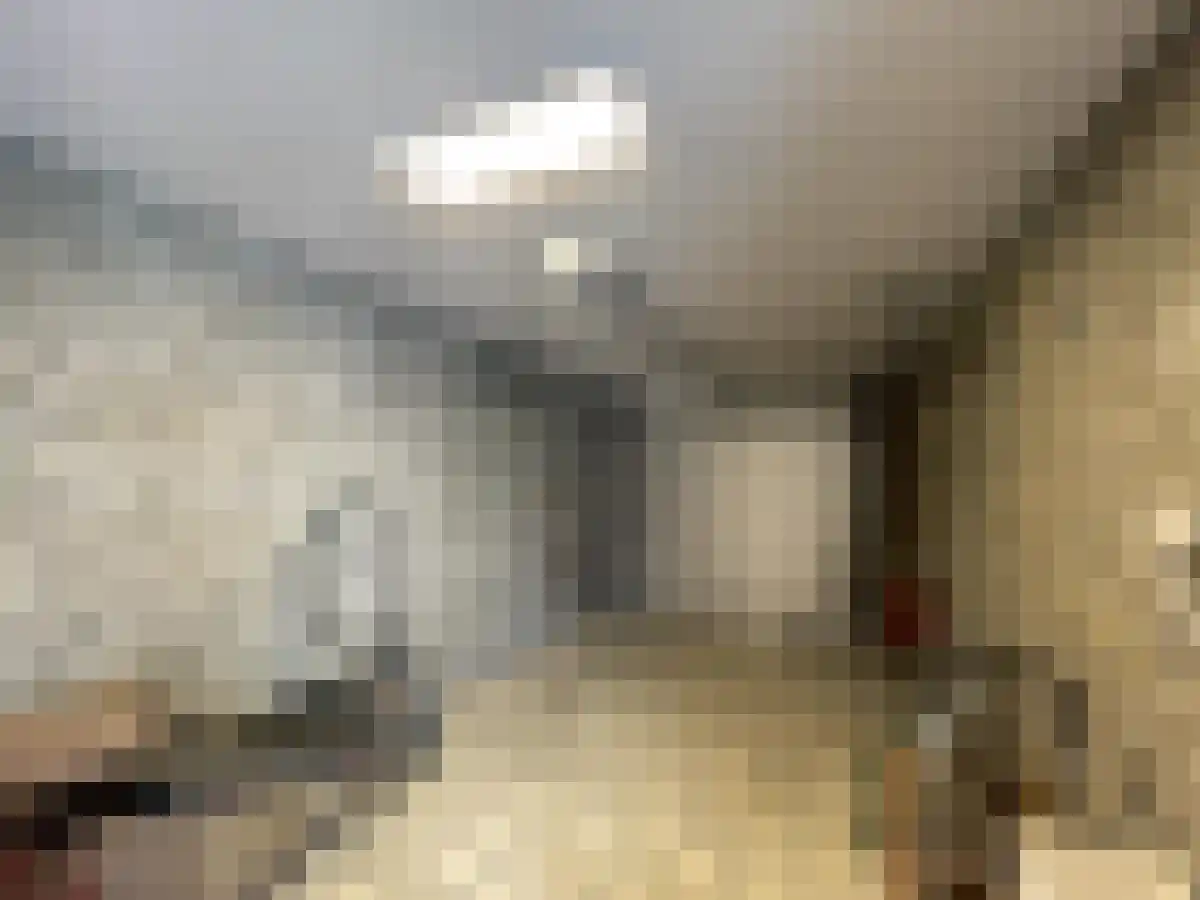 Vuurdoorn 5 Maastricht thumbnail 6