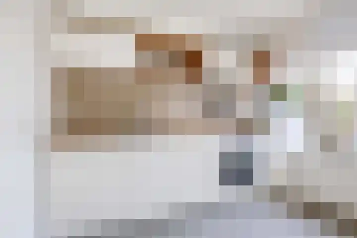 Vuurdoorn 6 Rotterdam thumbnail 13