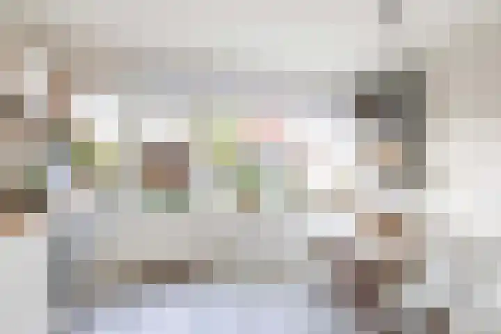 Vuurdoorn 6 Rotterdam thumbnail 14