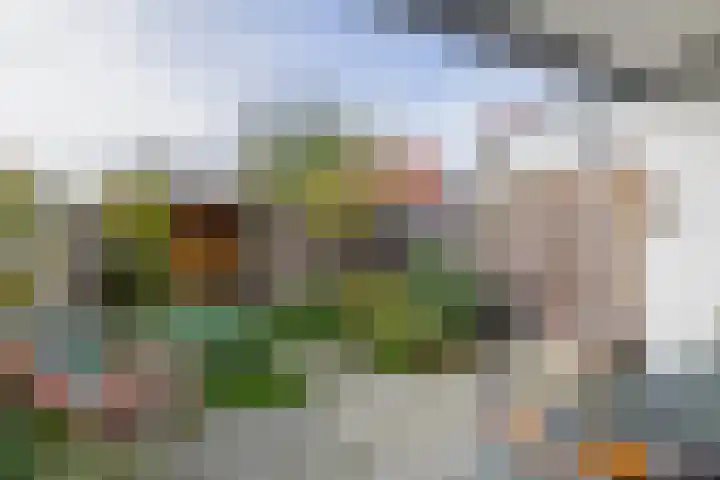 Vuurdoorn 6 Rotterdam thumbnail 16