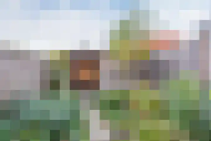 Vuurdoorn 6 Rotterdam thumbnail 17