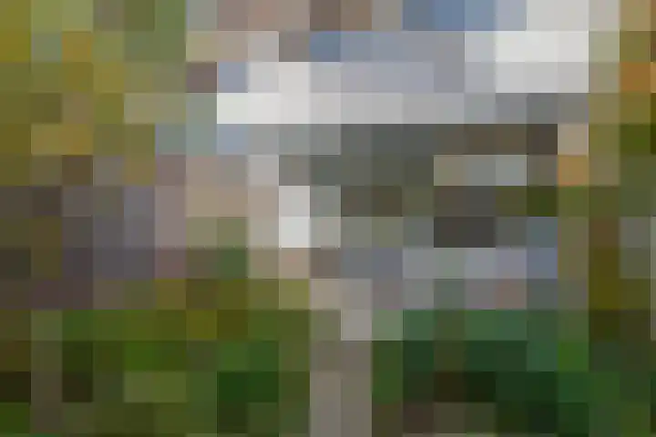 Vuurdoorn 6 Rotterdam thumbnail 18
