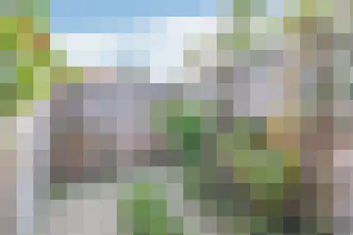 Vuurdoorn 6 Rotterdam thumbnail 21