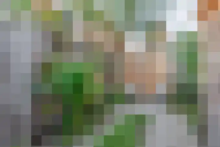 Vuurdoorn 6 Rotterdam thumbnail 22