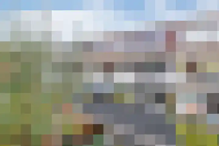 Vuurdoorn 6 Rotterdam thumbnail 23
