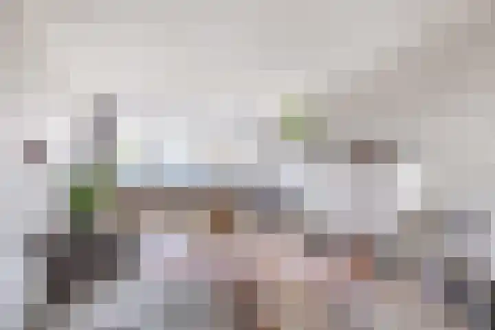 Vuurdoorn 6 Rotterdam thumbnail 27