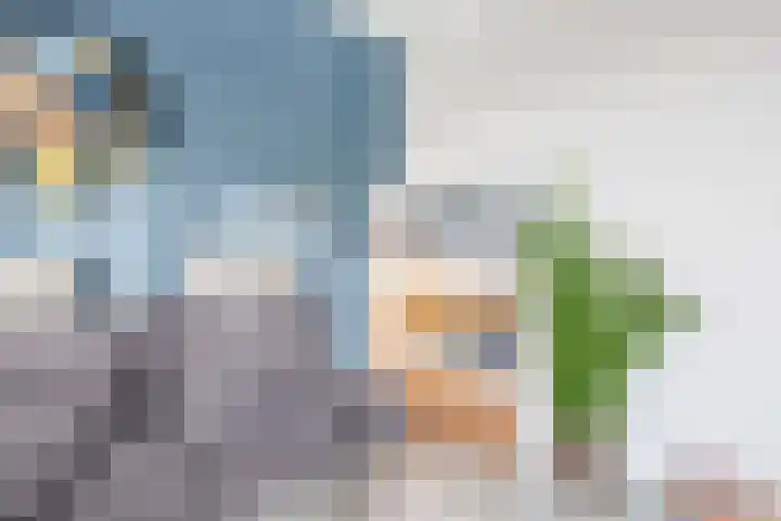 Vuurdoorn 6 Rotterdam thumbnail 31