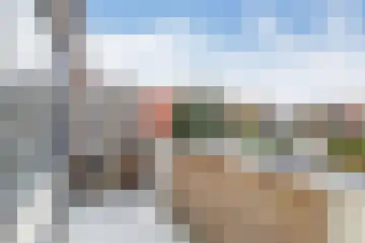 Vuurdoorn 6 Rotterdam thumbnail 32