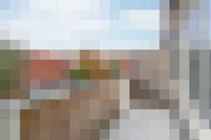 Vuurdoorn 6 Rotterdam thumbnail 33