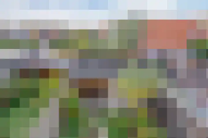 Vuurdoorn 6 Rotterdam thumbnail 34