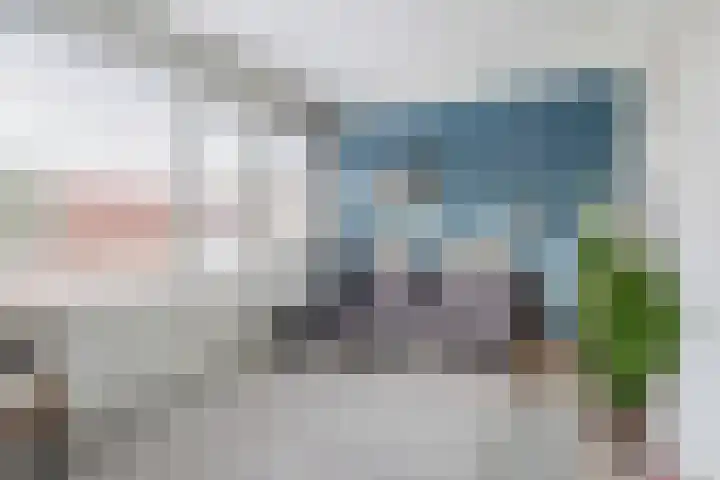 Vuurdoorn 6 Rotterdam thumbnail 4