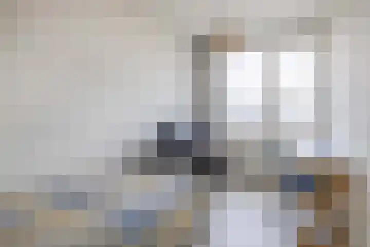 Vuurdoorn 6 Rotterdam thumbnail 41