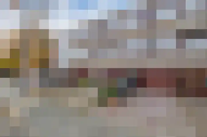 Vuurdoorn 6 Rotterdam thumbnail 5