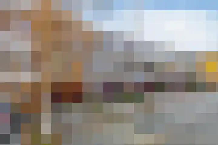 Vuurdoorn 6 Rotterdam thumbnail 6