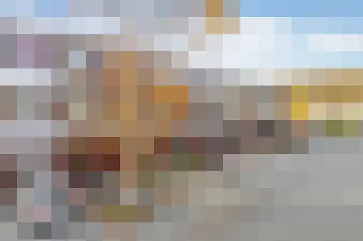 Vuurdoorn 6 Rotterdam thumbnail 7