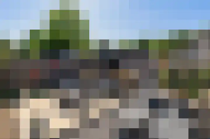 Vuurdoorn 69 Maastricht thumbnail 19