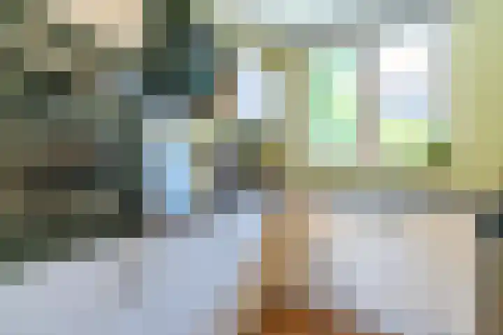 Vuurdoorn 69 Maastricht thumbnail 8