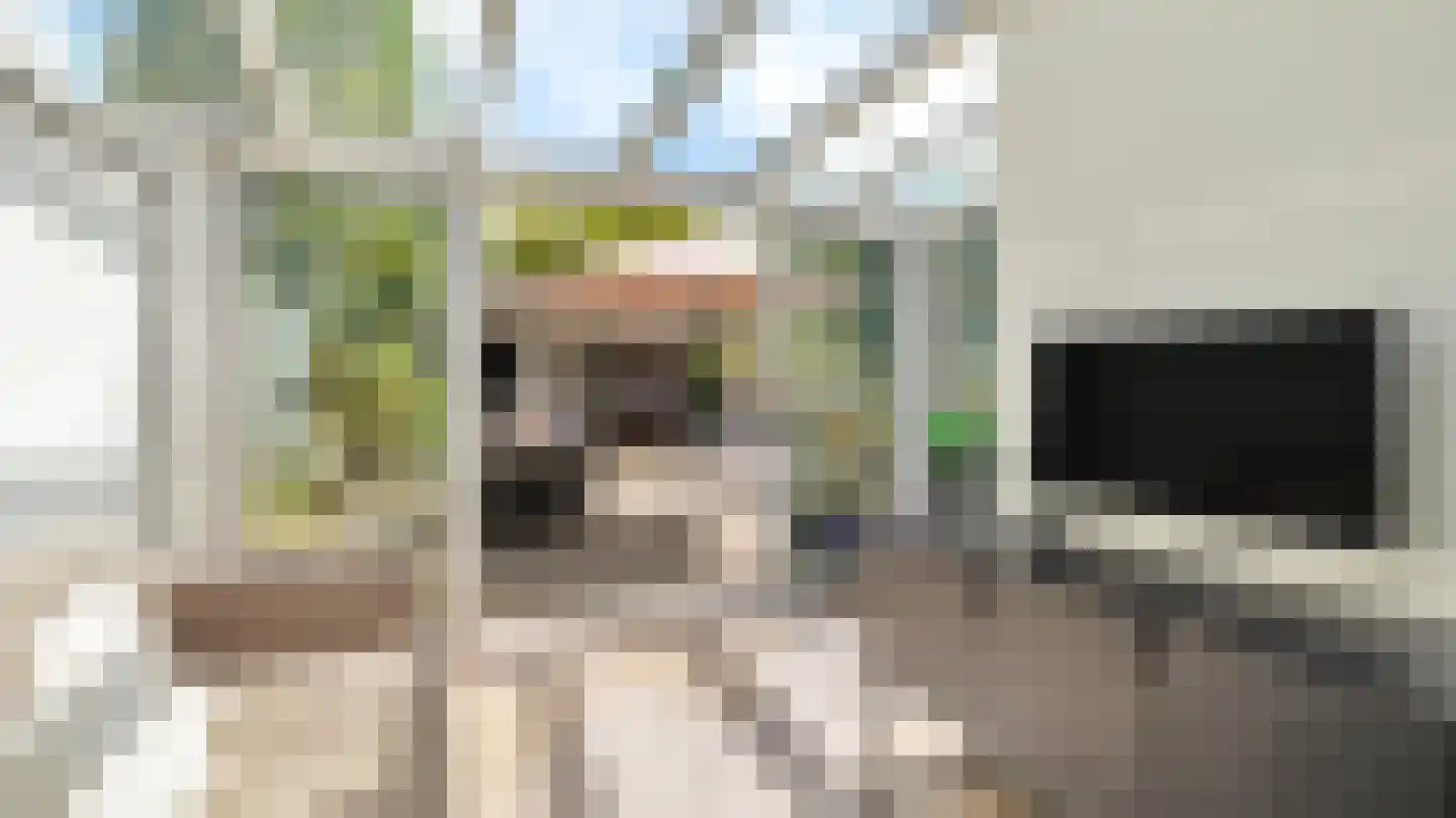 Vuurdoorn 8 Maastricht thumbnail 13