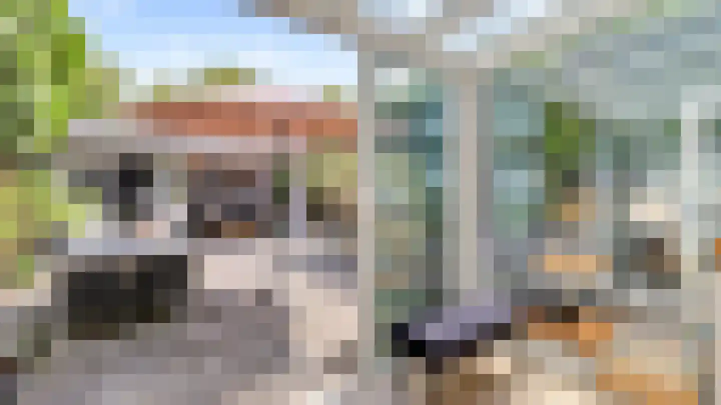 Vuurdoorn 8 Maastricht thumbnail 14