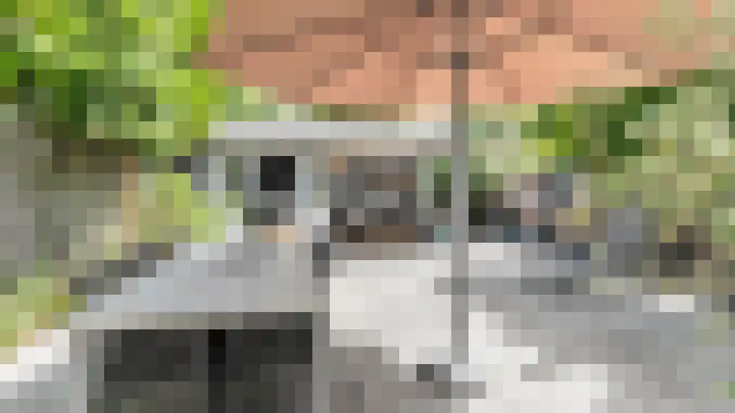 Vuurdoorn 8 Maastricht thumbnail 15