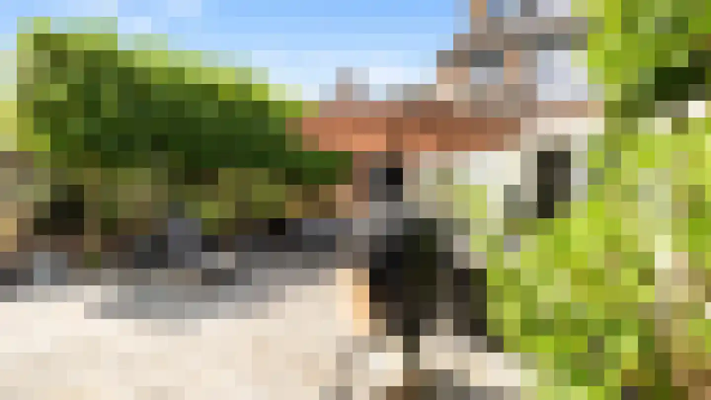 Vuurdoorn 8 Maastricht thumbnail 22