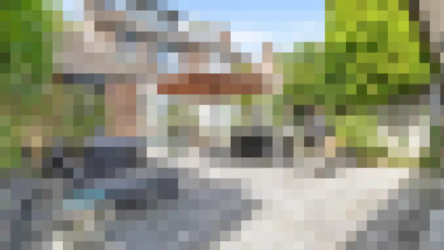 Vuurdoorn 8 Maastricht thumbnail 4