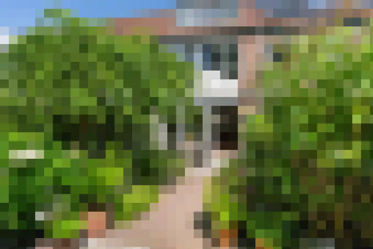 Vuurdoorn 8 Naaldwijk thumbnail 15