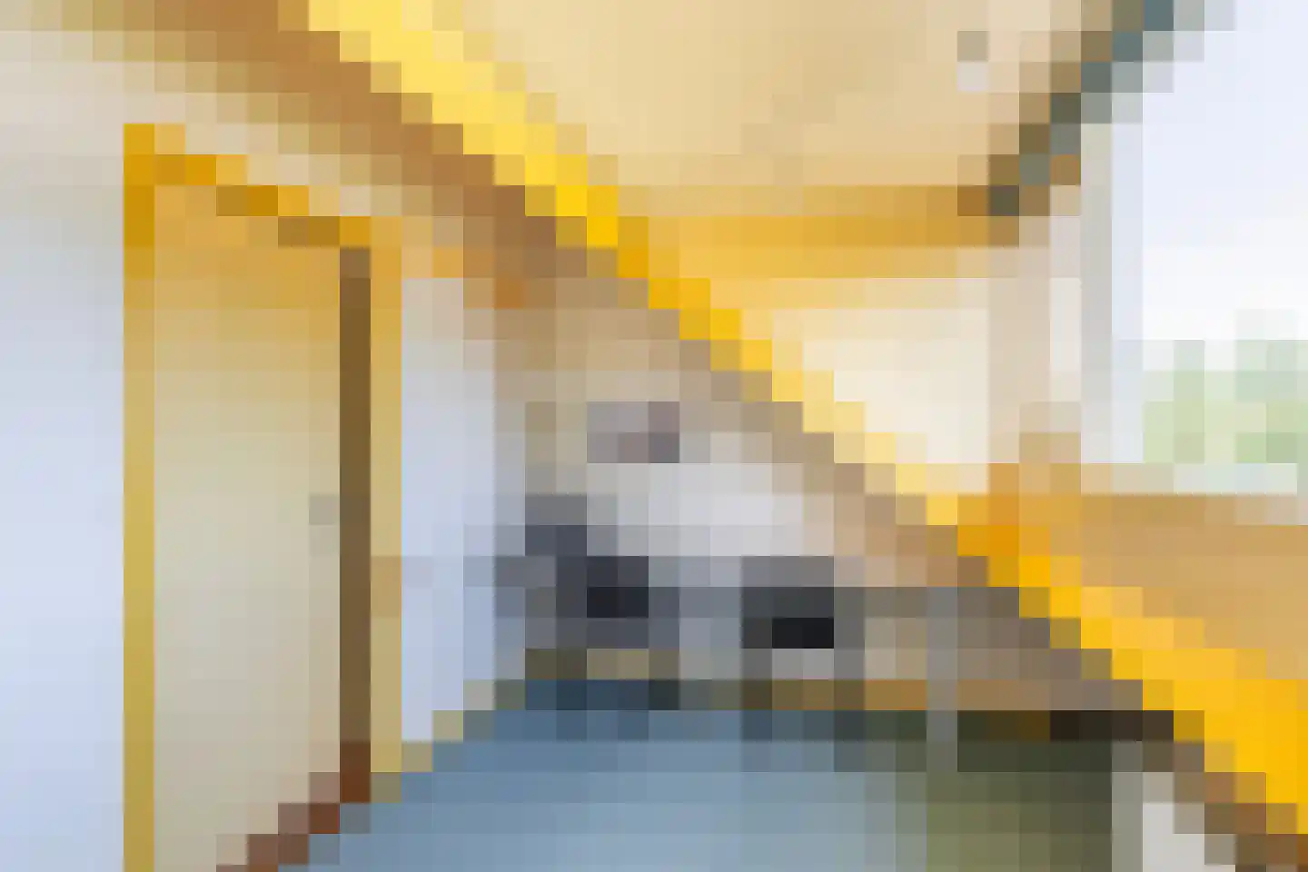 Vuurdoorn 8 Naaldwijk thumbnail 33