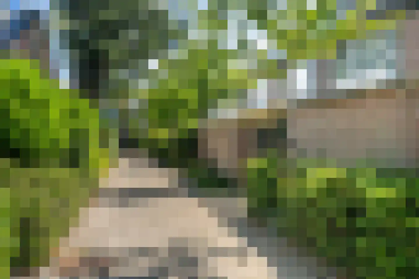 Vuurdoorn 8 Naaldwijk thumbnail 36