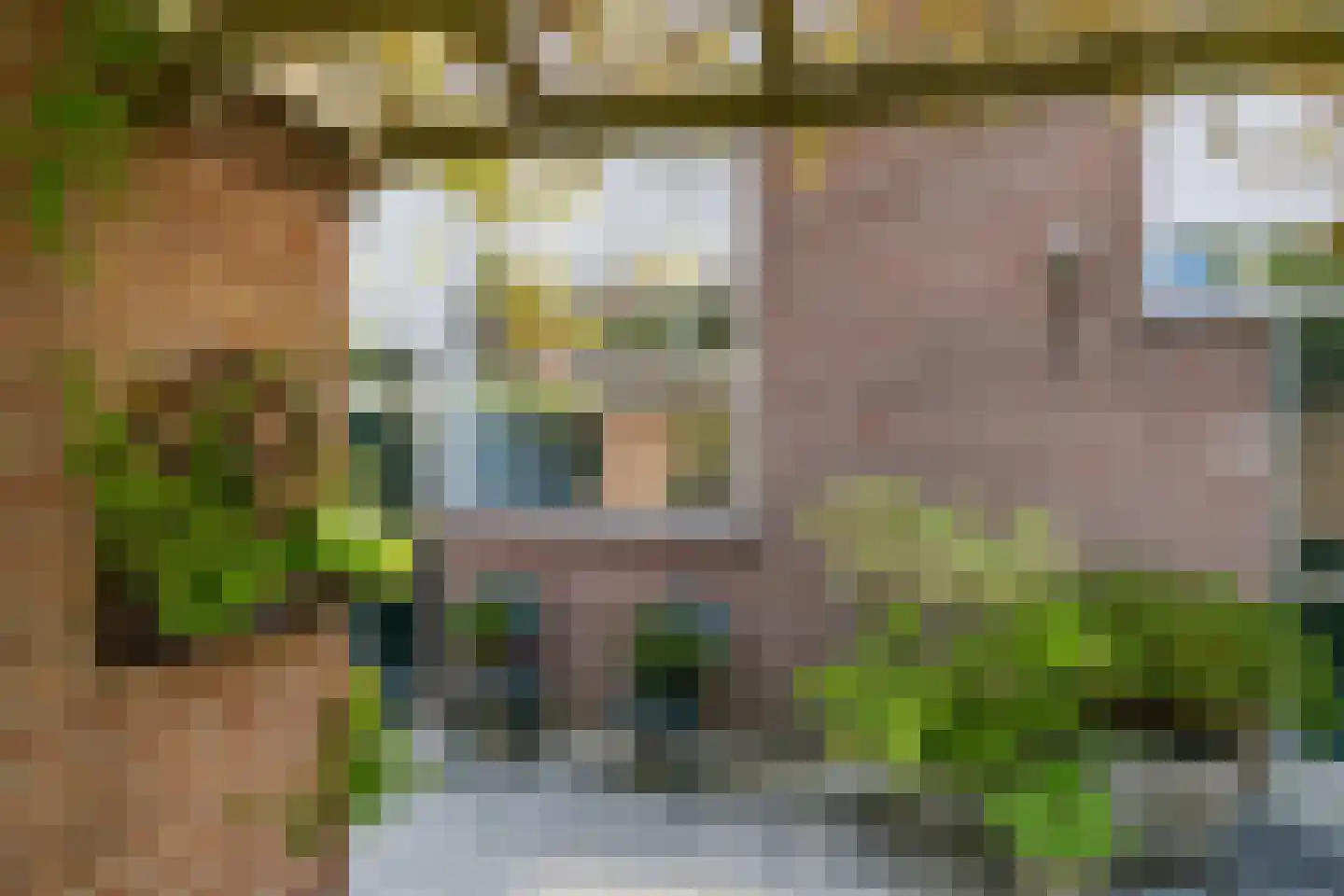 Vuurdoorn 8 Naaldwijk thumbnail 4