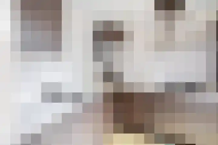 Vuurdoornhof 22 Waalwijk thumbnail 12