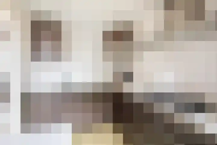 Vuurdoornhof 22 Waalwijk thumbnail 13