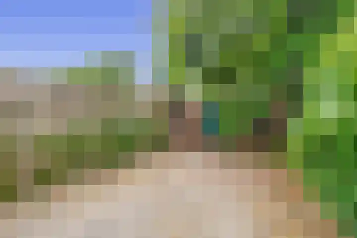 Vuurdoornhof 22 Waalwijk thumbnail 17