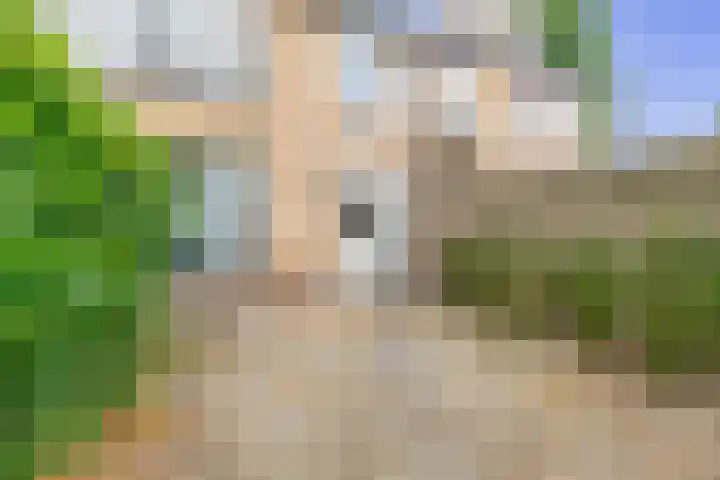Vuurdoornhof 22 Waalwijk thumbnail 18