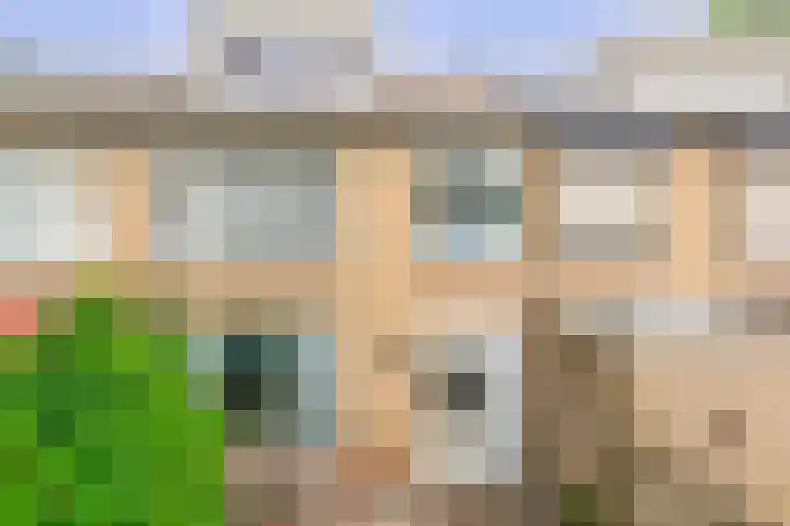 Vuurdoornhof 22 Waalwijk thumbnail 20